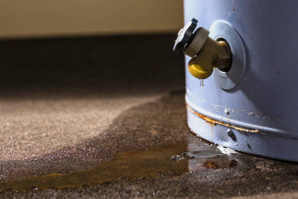Best Fire Damage Restoration  in Windsor, PA