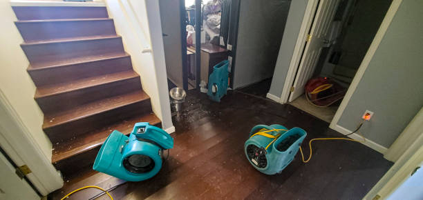 Best Professional water damage repair  in Windsor, PA