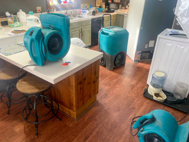 Best Fire Damage Restoration  in Windsor, PA