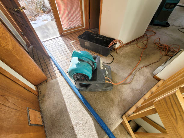 Best Basement water damage restoration  in Windsor, PA