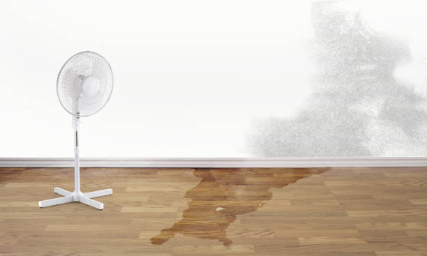 Best Water damage cleanup near me  in Windsor, PA