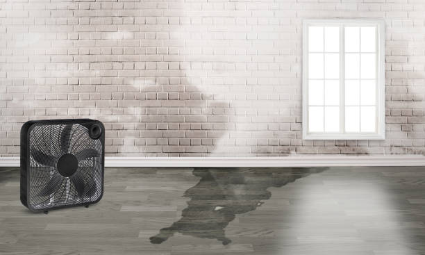 Best Sewage cleanup and water damage restoration  in Windsor, PA
