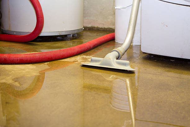 Carpet water damage restoration in Windsor, PA